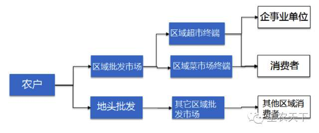 围场马铃薯19.png